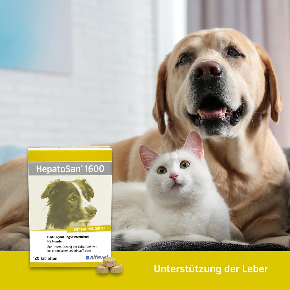 Alfavet HepatoSan 1600 - suplemento alimenticio para Perros - Ayuda al metabolismo hepático - 120 tabletas de 1600mg