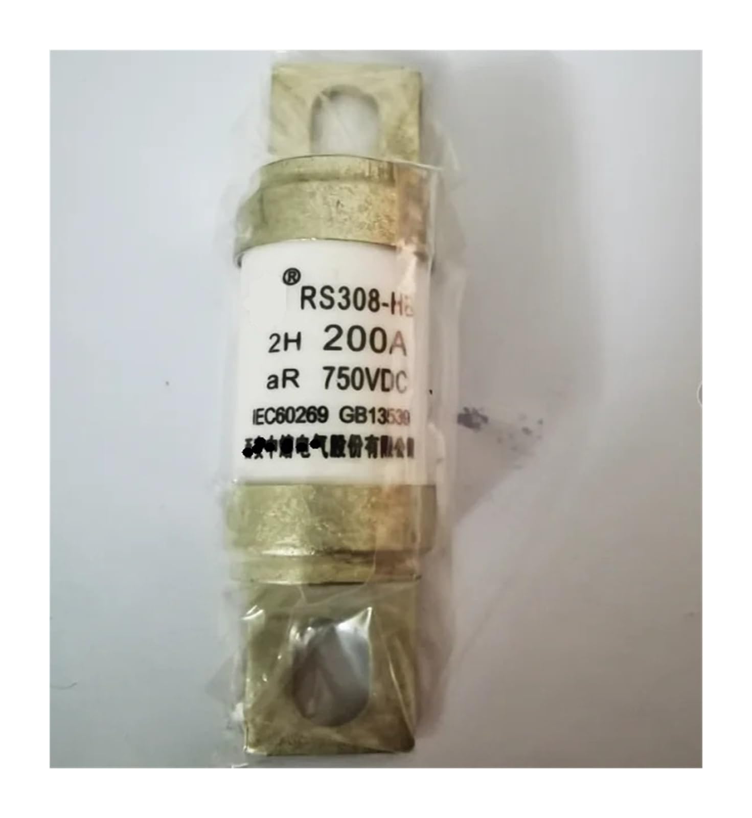 RCGKNNMUZ RS308-HB 2H 750VDC Fuse(100A)