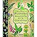 Plantas Medicinales Y Curativas (Atlas Ilustrado)