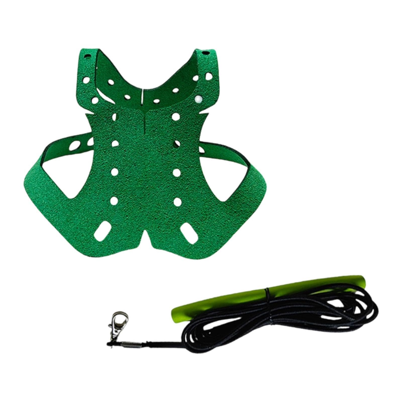 F Fityle Pigeon Harness and Leash,Pet Bird Traction Rope Pet Pigeon Supplies,Sturdy,Anti Bite Training Harness Outdoor Flying Rope, Green