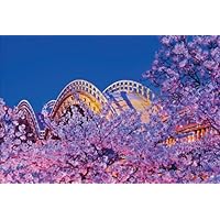 【Amazon.co.jp 限定】夜桜と錦帯橋 ポストカード3枚セット P3-053