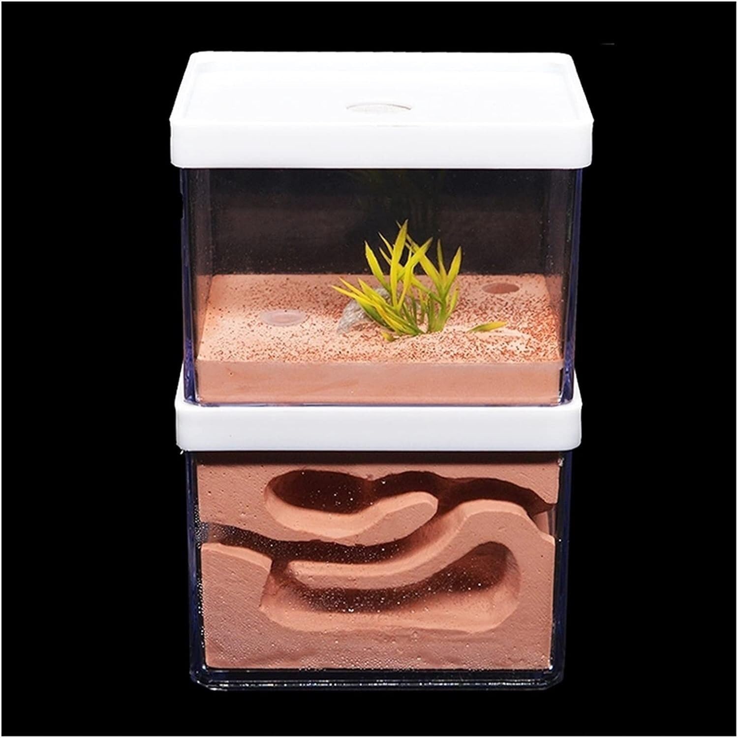 Formicaio Formicaio in Gesso, Naturale Ecologico, Grande Nido per Insetti, Castello, Officina, per Animali Domestici Formiche Nido(16cm)