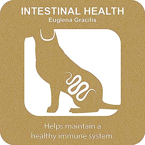 Ferplast Dog Snack Natural Dog Snack Oral Hygiene Large Size For intestinal health with Euglena seaweed 3 pack kit 420g - Image 3