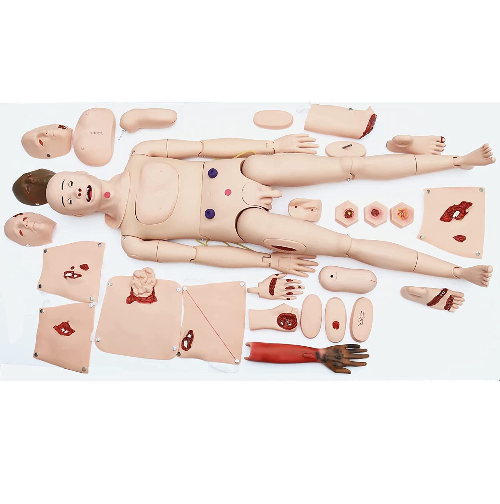Wielofunkcyjny manekin treningowy do opieki nad pacjentem 24 moduły ran Anatomiczny model człowieka Zaawansowany manekin do treningu urazowego Model demonstracyjny Manekin dla mężczyzn i kobiet Model