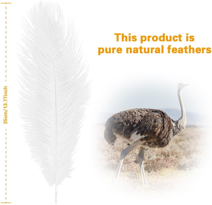 Creny 20pcs ostrich feathers 12-14inch(30-35cm) for Home Wedding Decoration Offers 10 colors
