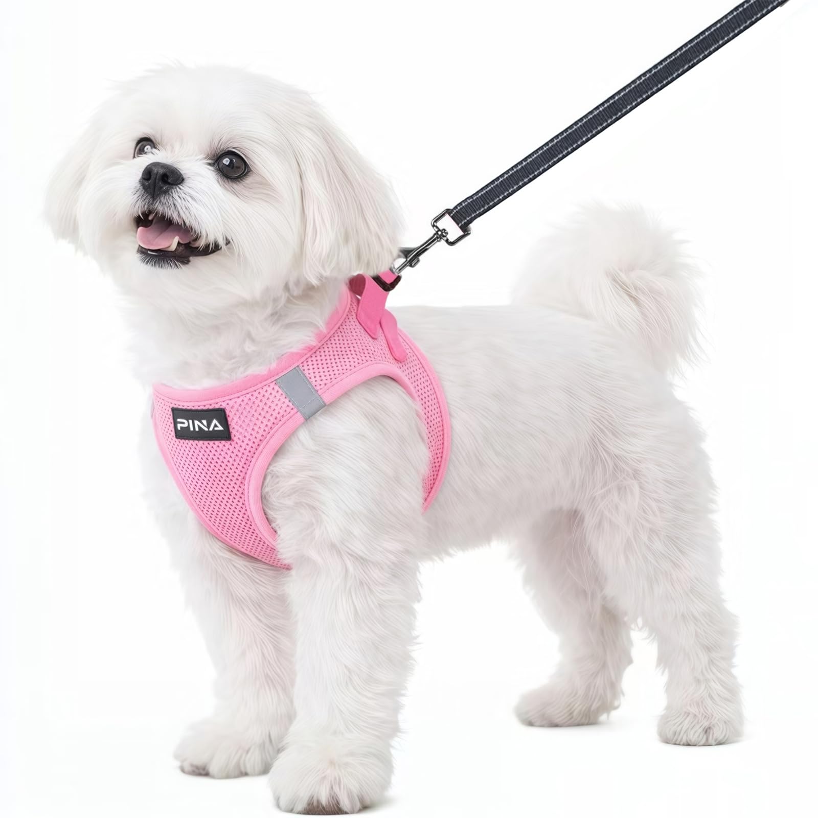PINA No Pull Dog Harness and Leash Set, Breathable Mesh Vest - Lightweight, Adjustable for Small to Medium Dogs - Easy On and Off