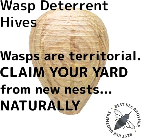 Best Bee Brothers Wasp Nest Decoy, Collapsible Fake Wasp Nest (2 Pack) - Deterrent for Wasps and Yellowjackets