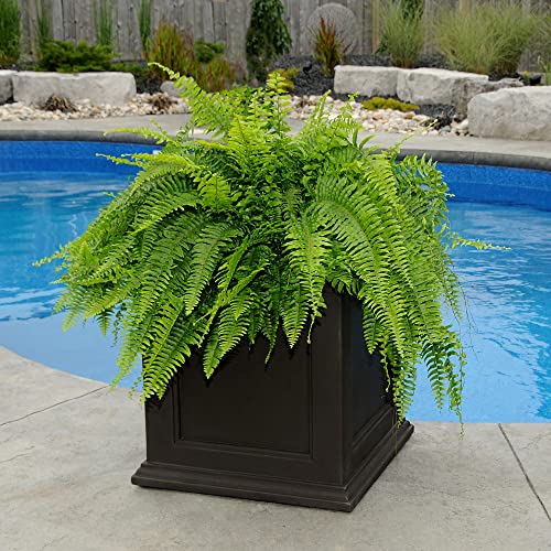 Mayne 5825-ES Fairfield 20In Square Planter thumb #2