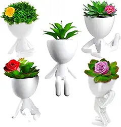 Kit 5 Vasinhos Unidades Bob Decorativo Suculenta Plantas