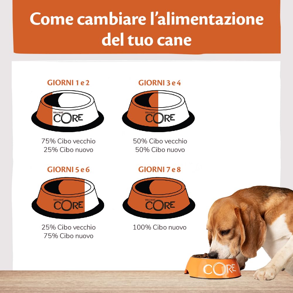 Wellness CORE Senior 10 kg, Pollo & Tacchino – Crocchette Per Cani | Cibo Secco Per Cani Anziani, Senza cereali, Naturale, Ipoallergenico, Ricco di Proteine e Carne, Fianchi e Articolazioni