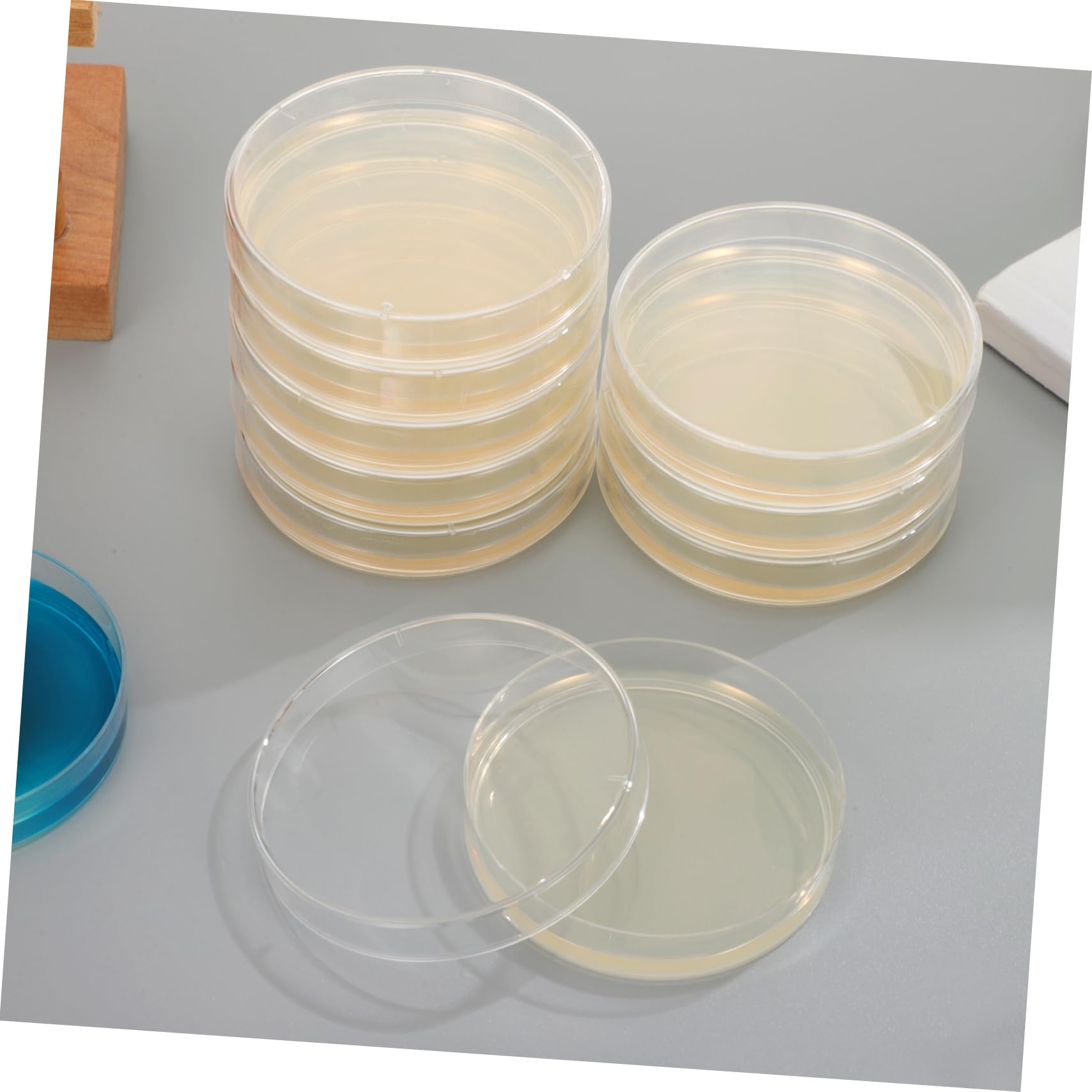 Vorgegossene Agar-petrischalen 20-teiliges Set 7 Cm Nähragarplatten Einfach Zu Verwendendes Wissenschaftliches Laborzubehör