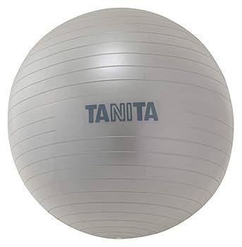 Amazon.co.jp: タニタ タニタサイズ バランスクッション TS-959