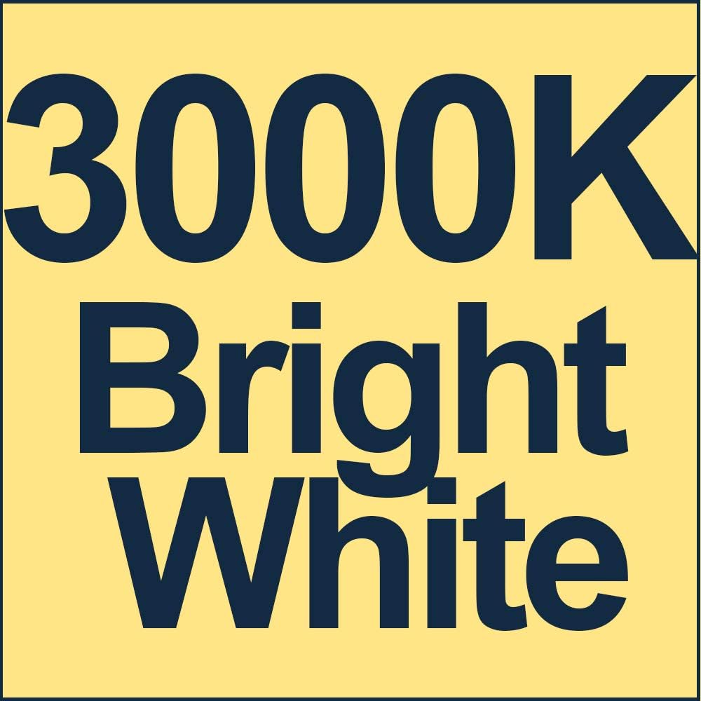 Explux Lampadina LED PAR38 2650 Lumen – Luce Diurna 5000K, Dimmerabile, Vetro Resistente, Confezione 2 Pezzi