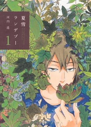 Amazon.co.jp: 夏雪ランデブー 1 (Feelコミックス) : 河内 遙: 本