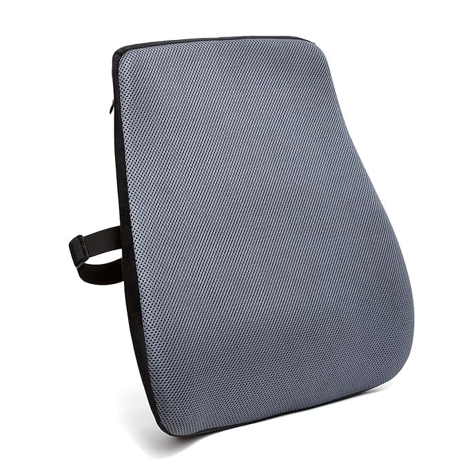 Image of NTGS PU Foam Backrest with Adjustable Strap - Ergonomic Back Pillow for Office Chair, Car Seat, Home & Travel Orthopedic Lumbar Support Cushion for Chair.