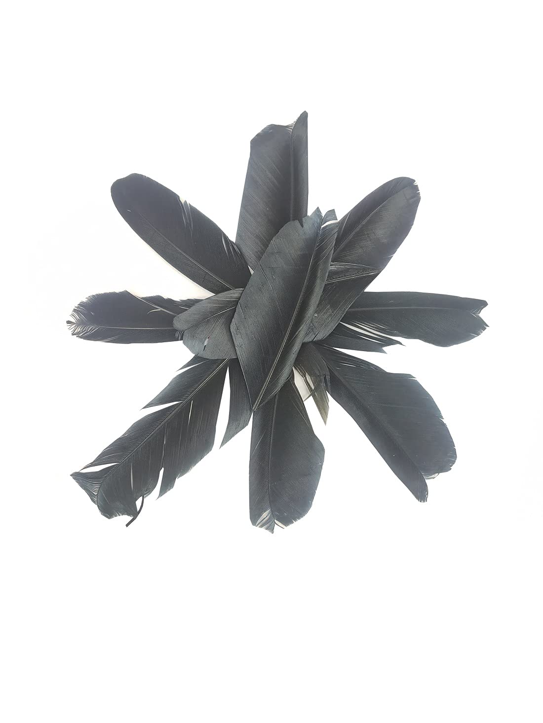Adhvik Natural Dyed Black Multi-Purpose Shuttle Craft Feathers (Approx 75pcs in pkt) for Dream Catcher Artificial Jewelry Making Art & Craftworks Decorations DIY Hobby Crafts Kids Projectworks