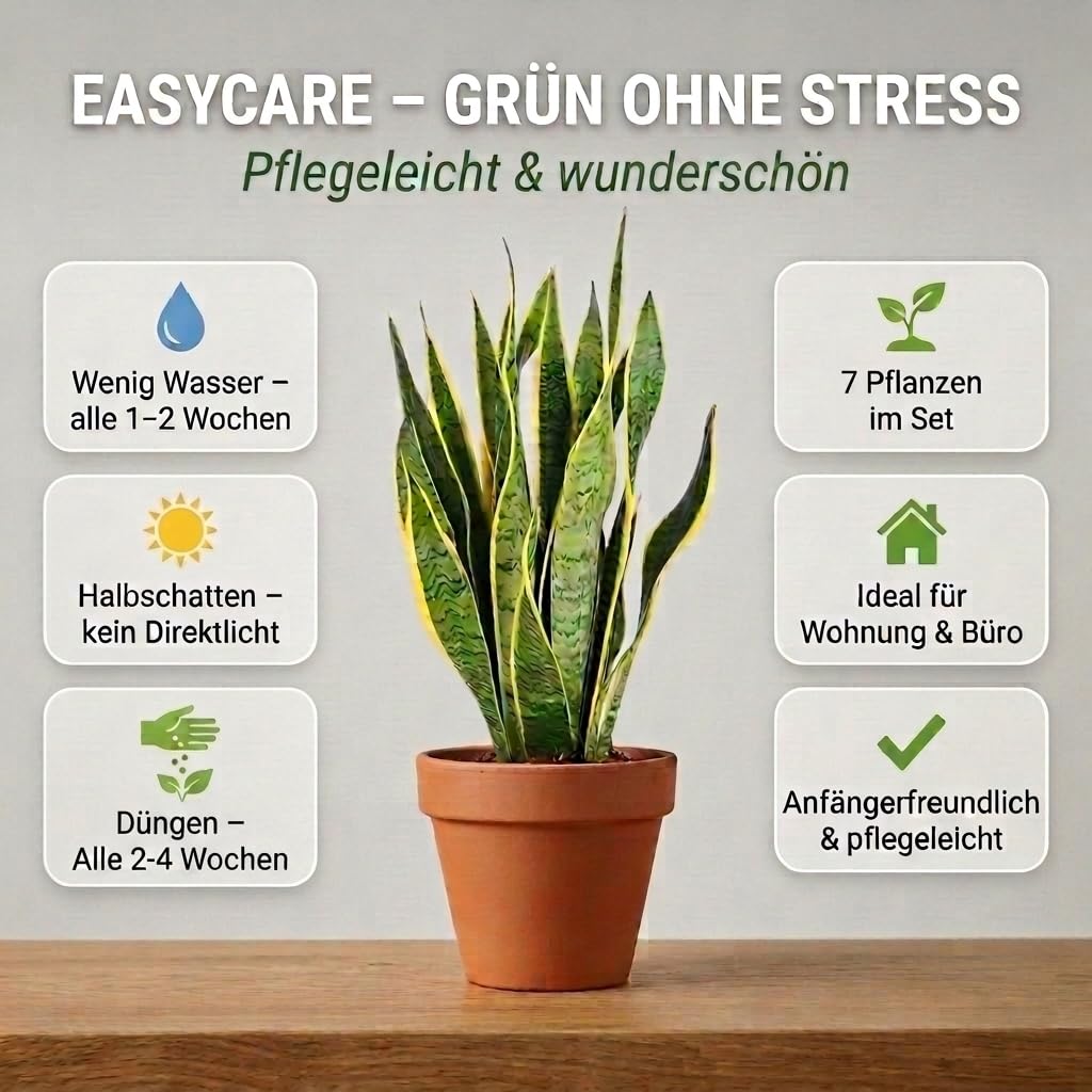 “EasyCare” Pflanzenset + 7x Zinktopf | 7er-Set | Monstera, Sansevieria, Efeutute, Grünlilie, Adansonii, Areca, Spathiphyllum | ca. 30-60 cm | Ø 12-15 cm Topf | Pflegeleichte Zimmerpflanzen