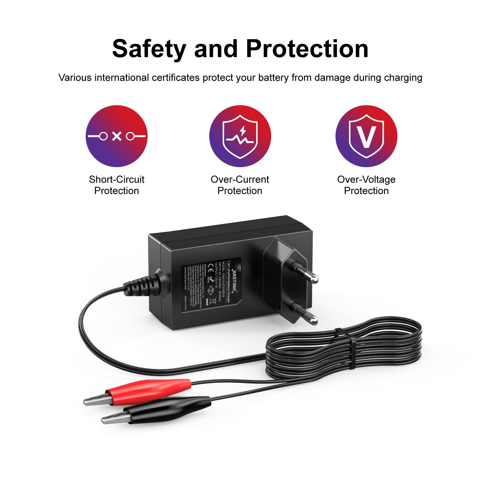 NASTIMA Batterie Rechargeable 6V 6Ah LiFePO4 avec Protection BMS et Cycle Profond 2000, avec Chargeur 7,3V 1000mA LiFePO4