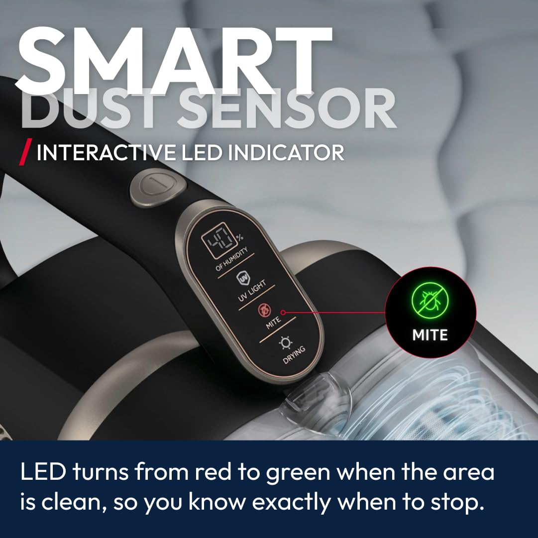 View 5