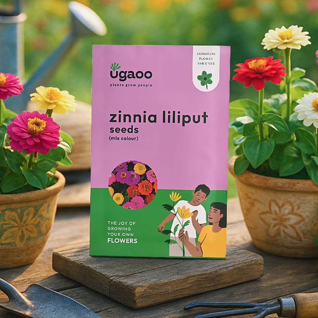 UGAOO Zinnia Lilliput Flower Seeds (Multicolour, Pack of 200)