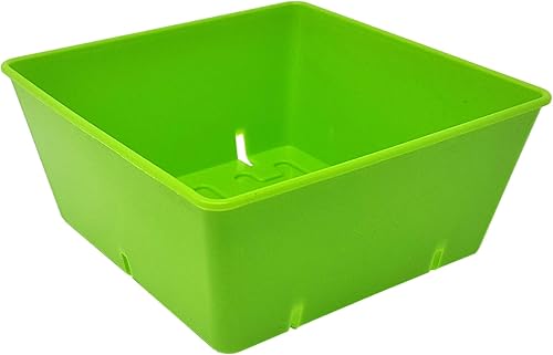 Bootstrap Farmer Bandeja de semillas de 5 x 5, color verde, paquete de 40 unidades, insertos extra fuertes de 5 x 5 para cultivar microverdes,