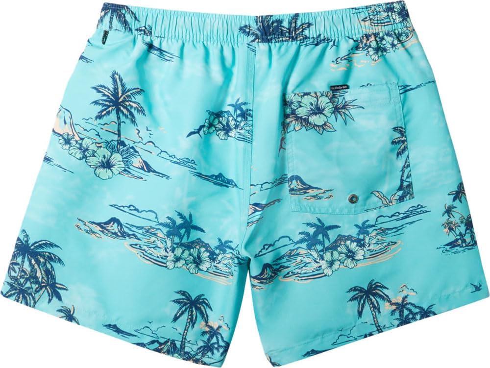 Quiksilver Men's Standard Everyday Mix 17 Volley Boardshort Swim Trunk