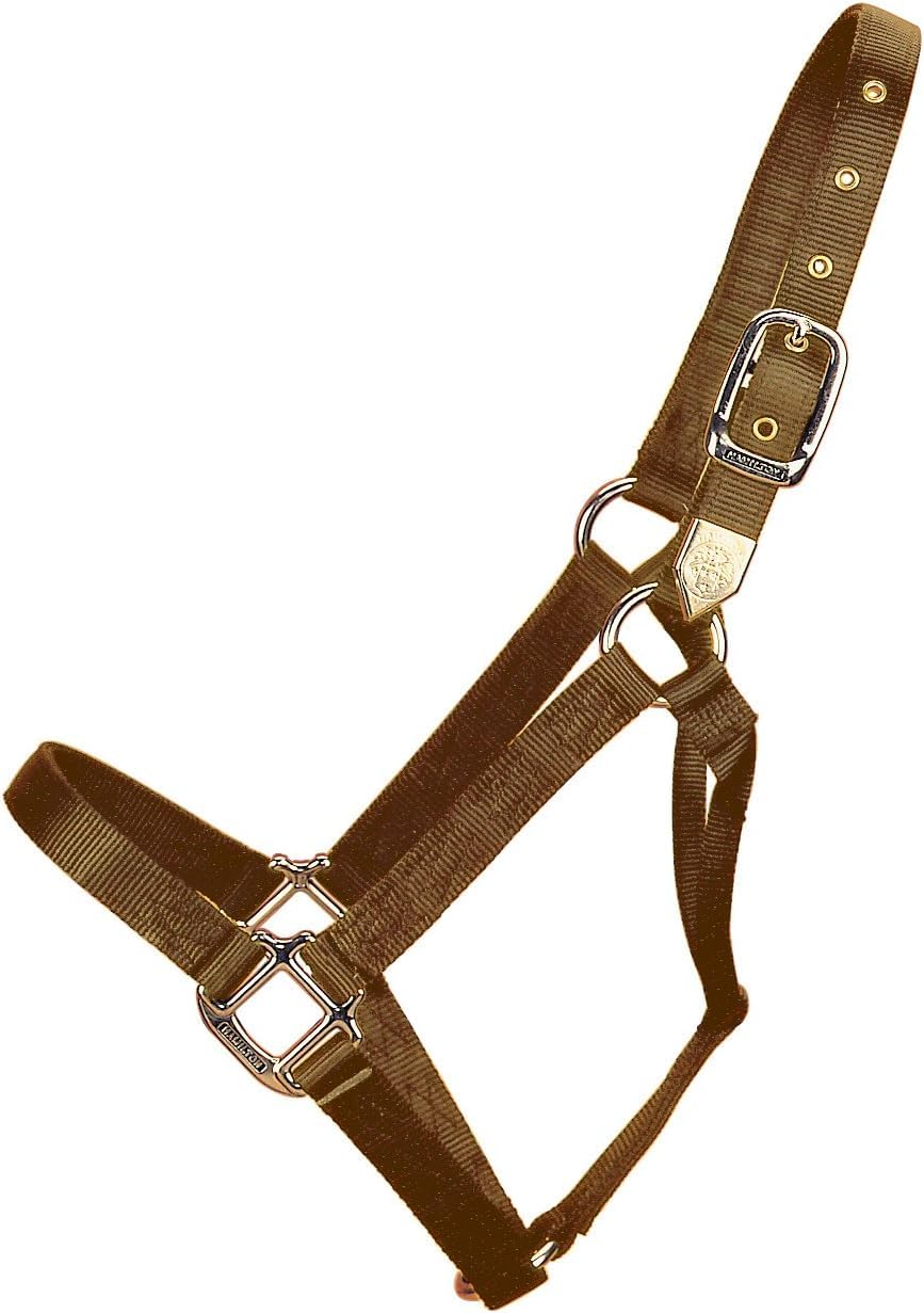 Hamilton Deluxe Horse Halter, 1" Triple Ply Nylon, Yearling or Standard Donkey, 300-500 lbs, Brown