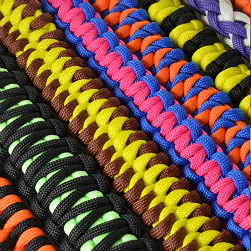 Paracord 550 Seil Blau | Rot | Weiß | 31 Meter Nylon/Polyester-Seil mit 7 Kern-Stränge | für Armband | Knüpfen von Hunde-Leine oder Hunde-Halsband zum selber machen | Seil mit 4mm Stärke | Mehrzweck-Seil | Survival-Seil | Parachute Cord belastbar bis 250kg (550lbs) - Marke Ganzoo