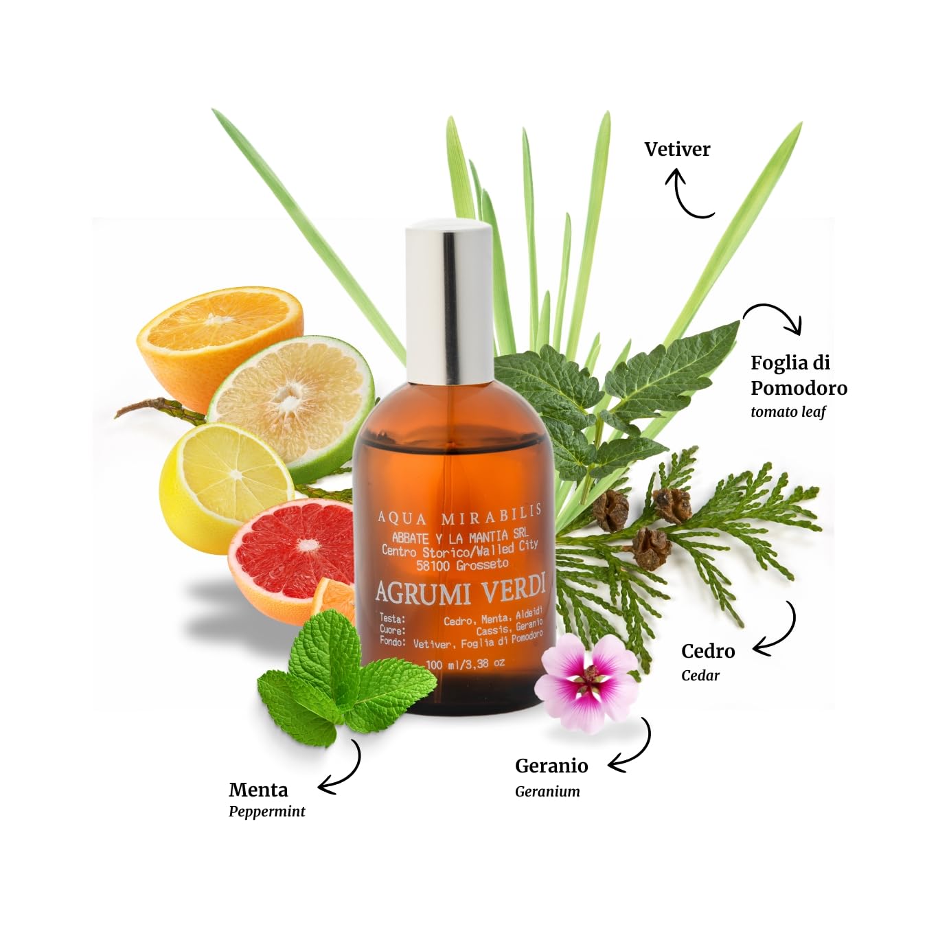 ABBATE Y LA MANTIA: Profumo Uomo – Acqua di Colonia – Fragranza Sperimentale con Cedro, Menta e Vetiver – 100ml – Made in Italy