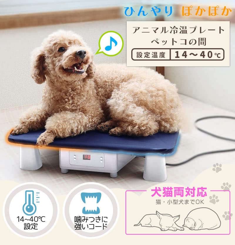 Amazon.co.jp: THANKO アニマル冷温プレート「ペットコの間」PECLPLHWH