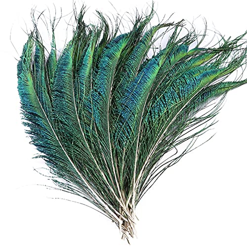 40 pcs Sowder Natural Peacock Feathers 10-15 Inches for Crafts Multicolored DIY Craft Hat and Vase Decoration Wedding Flower Arrangement and Home Decorations Christmas Tree Decoration