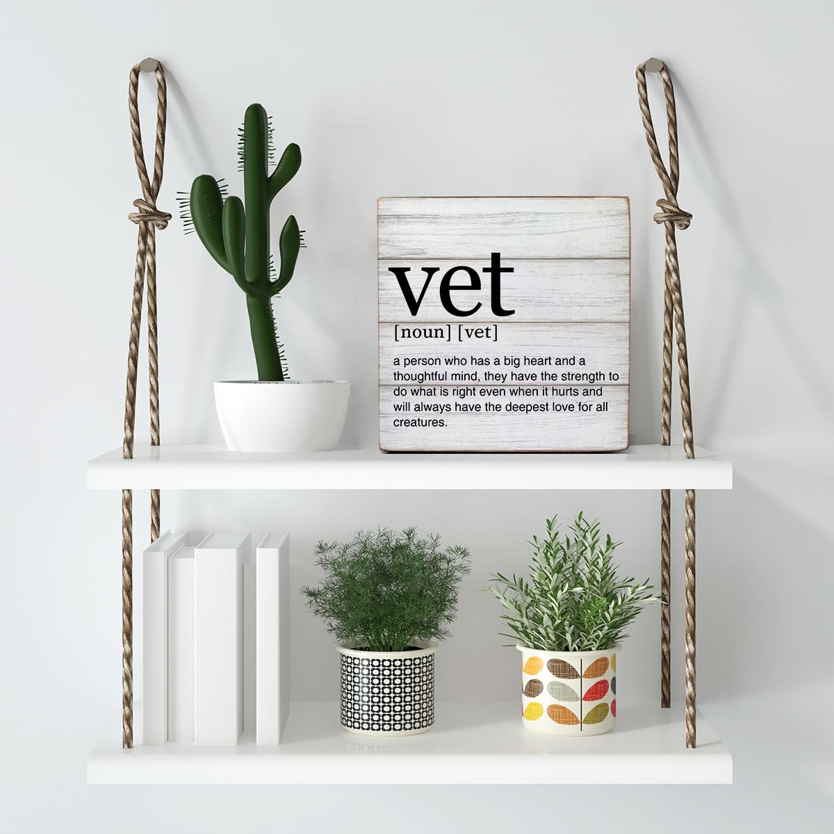 Cartello decorativo in legno con citazioni veterinarie, per scrivania, tavolo, mensola, 12,7 x 12,7 cm