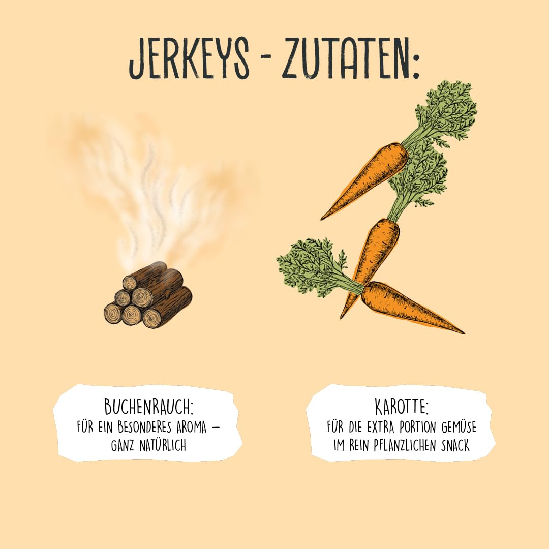 Hypoallergene hondenrassen – Beste honden voor allergieën (2025