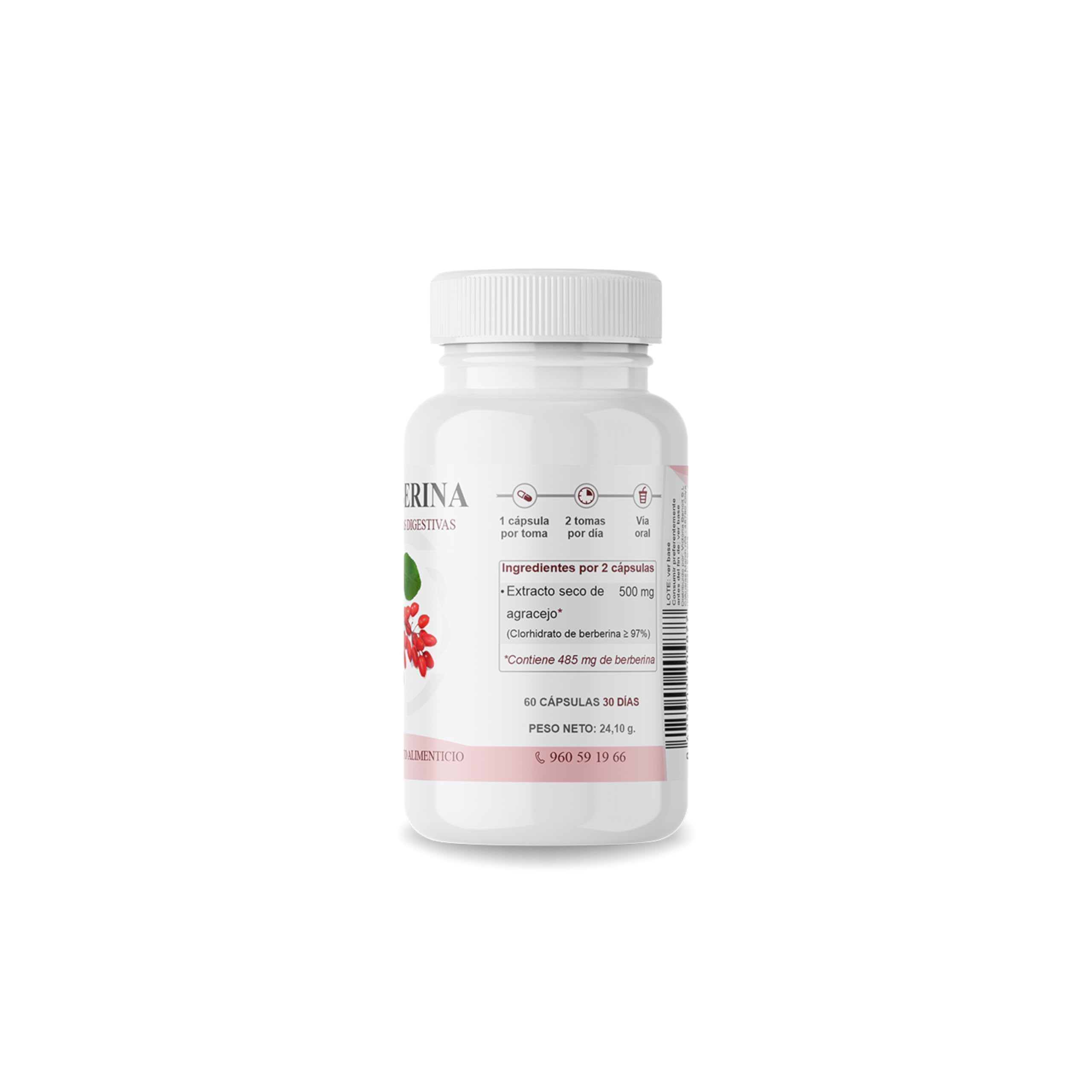 Berberina | Extracto de Berberis Vulgaris Titulado al 97% | 485 mg por Dosis | Regulador Metabólico | Energía Celular y Bienestar Digestivo | 60 Cápsulas Vegetales