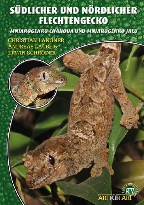 Südlicher und Nördlicher Flechtengecko: Mniarogekko chahoua und Mniarogekko jalu (Buchreihe Art für Art Terraristik)