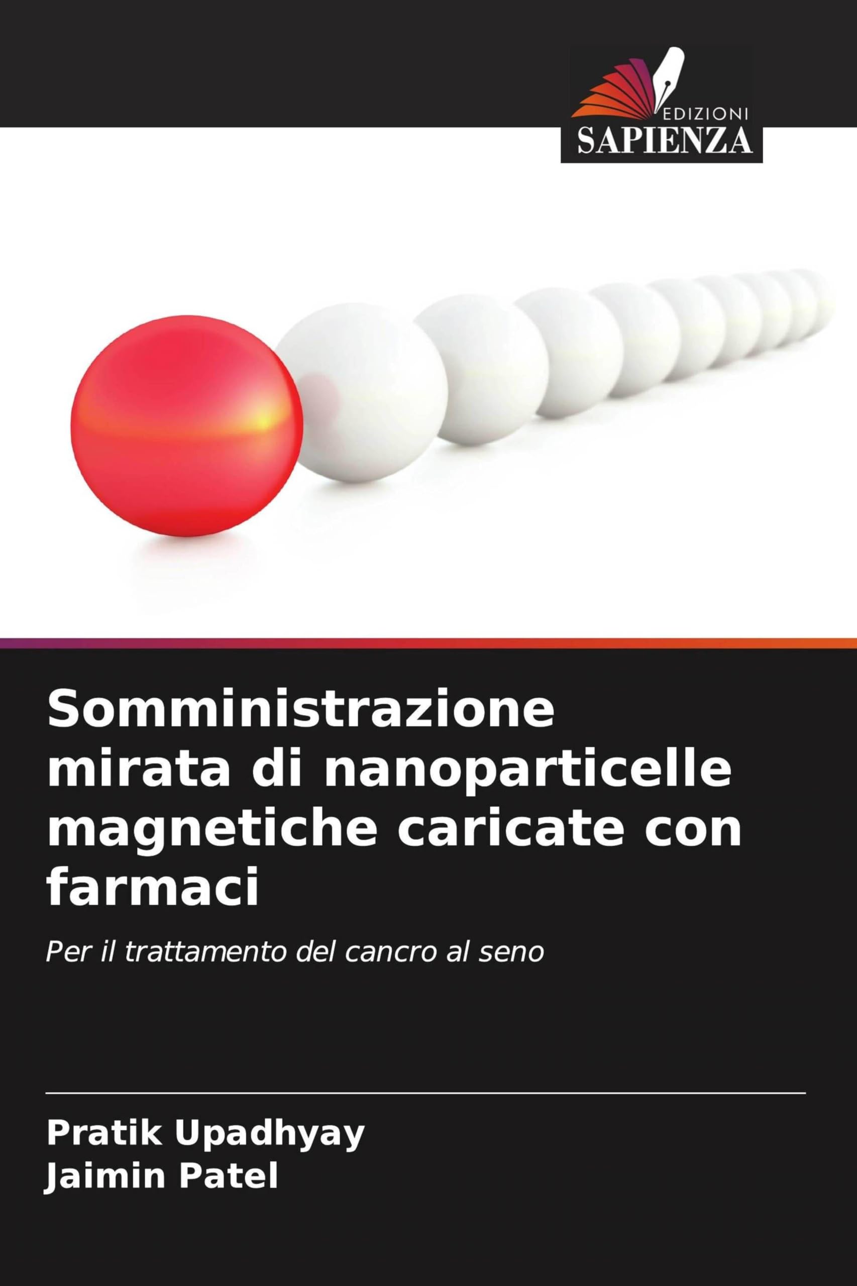 Somministrazione mirata di nanoparticelle magnetiche caricate con farmaci: Per il trattamento del cancro al seno