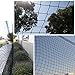 Topeakmart 10x20ft Heavy Duty Baseball Softball Batting Cage Net #18 Backstop Practice Net Sports Edged Net Tunnel Net