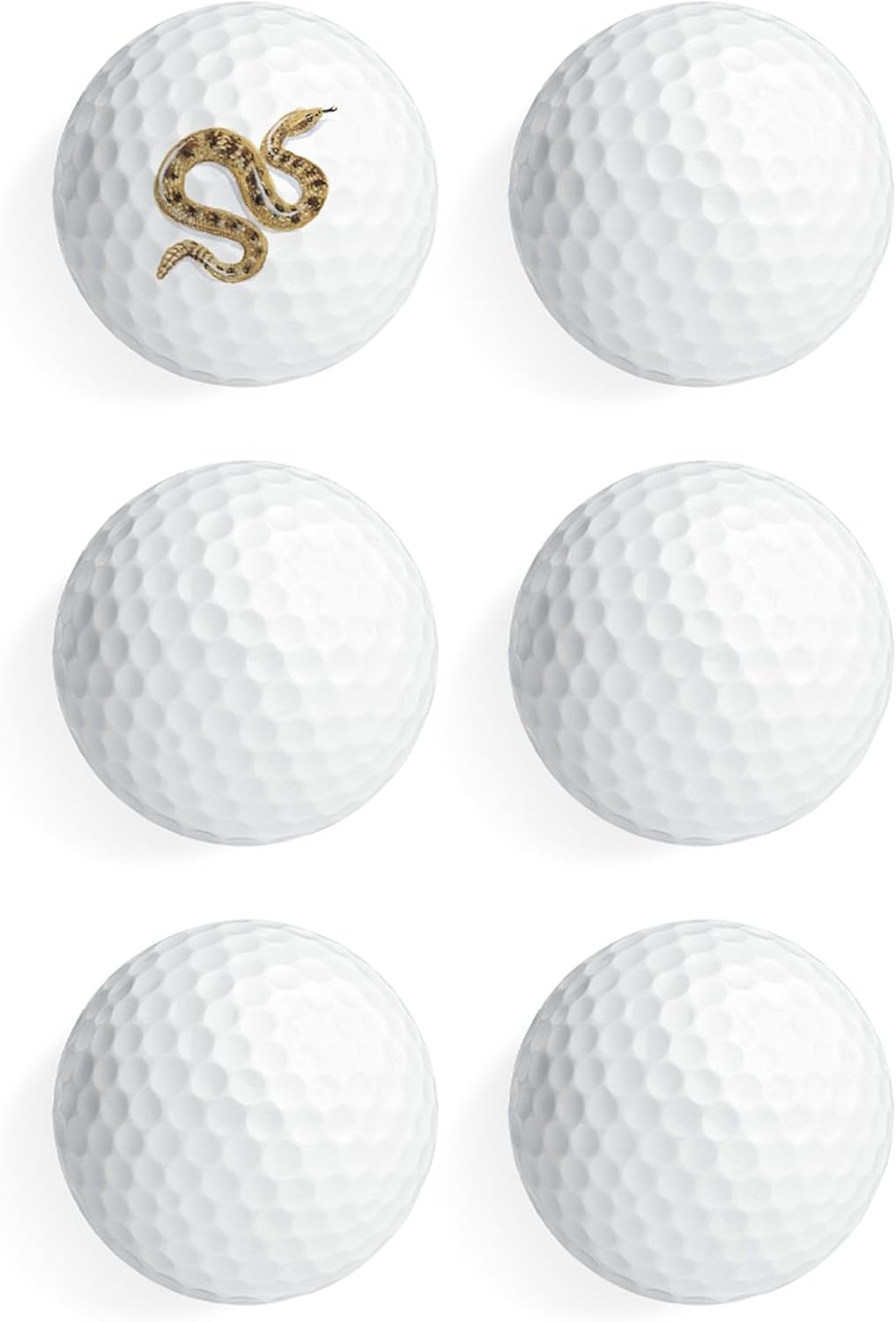 CafePress Sidewinder Snake Novelty Golf Balls (Pk of 6)
