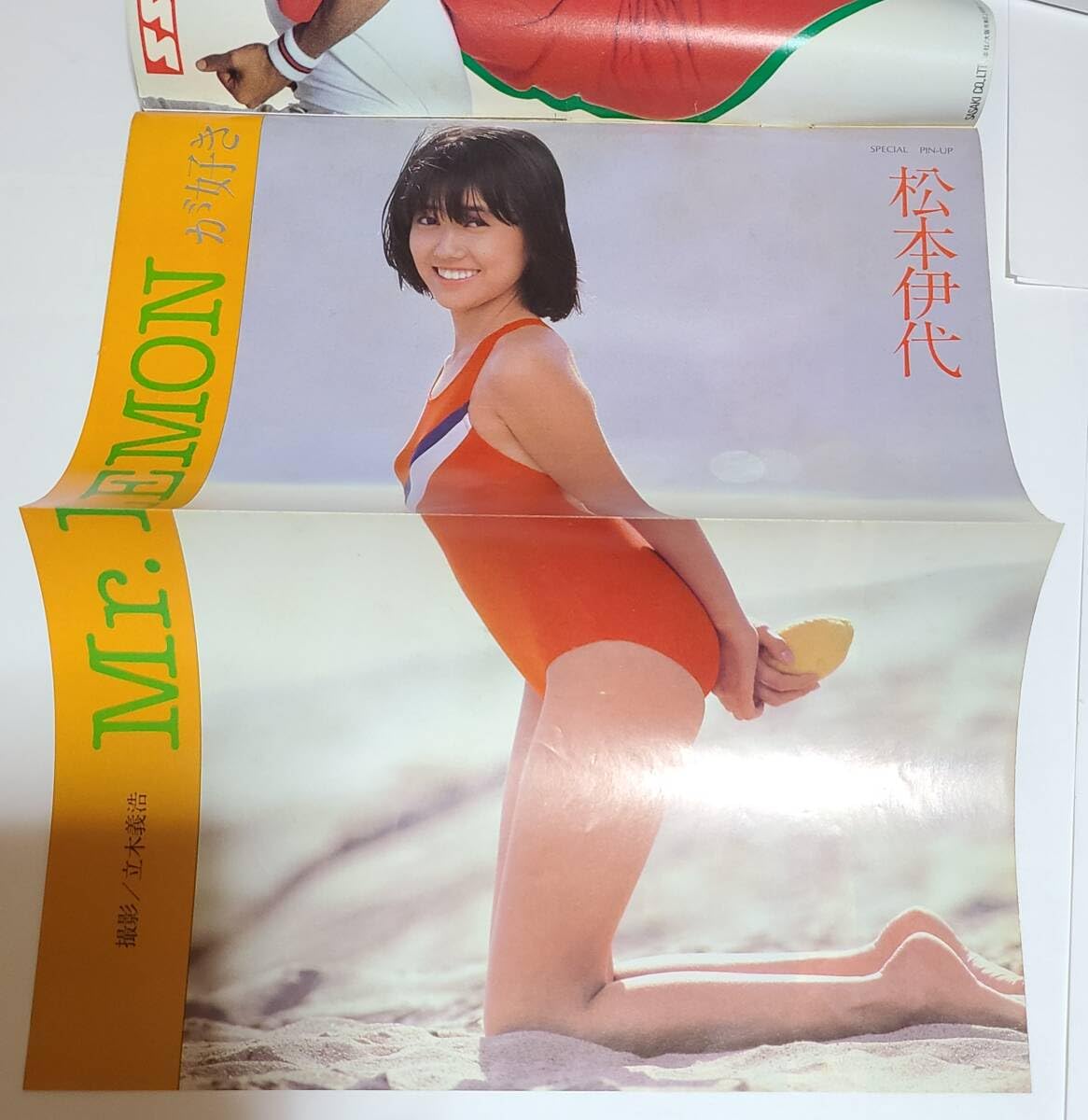 Amazon.co.jp: 週刊プレイボーイ1982年◇大仁田礼子◇松本伊代  ◇高樹澪◇中島はるみ◇天地真理◇サザンオールスターズ◇ヌード◇昭和風俗◇石川秀美 : おもちゃ