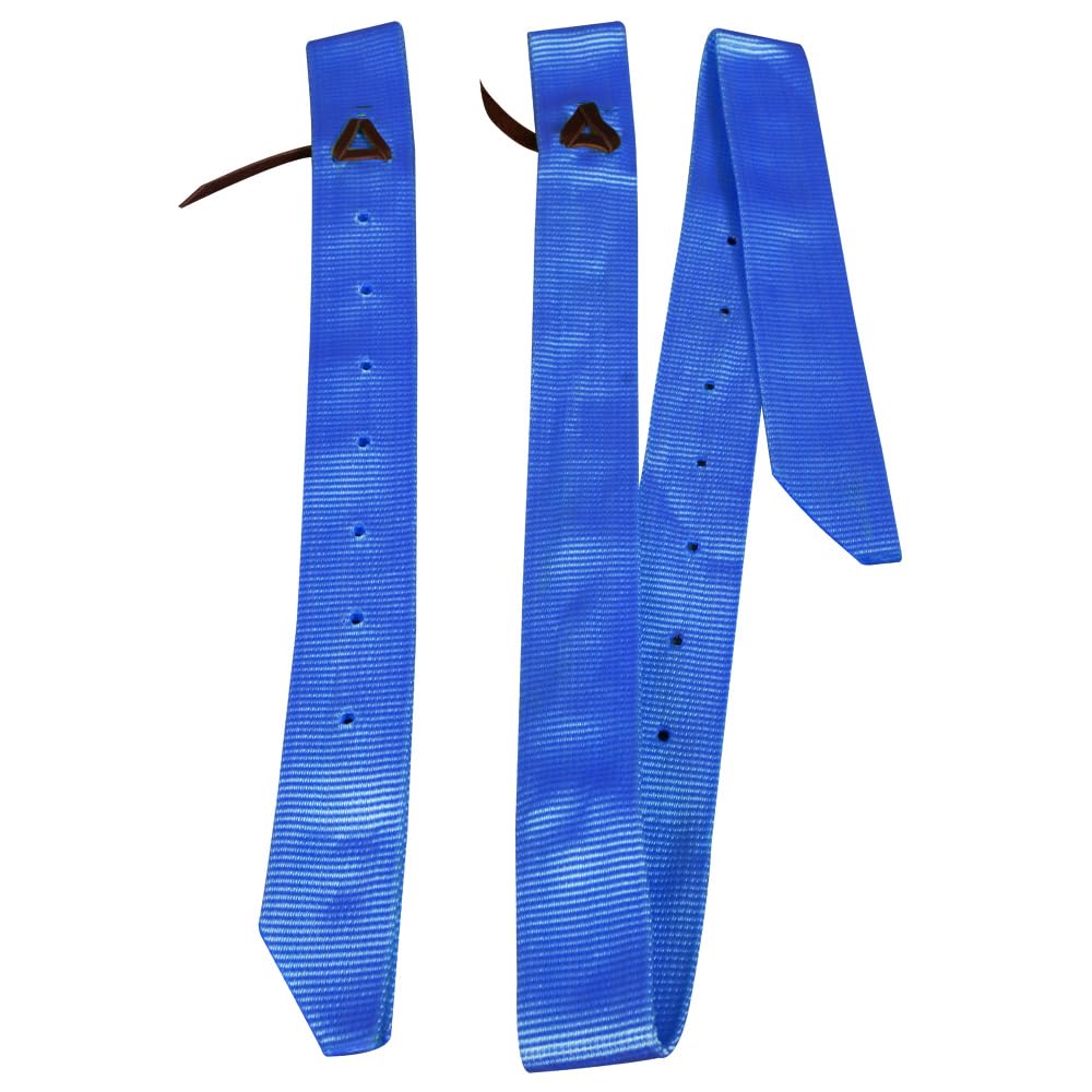 HILASON Premium Single Nylon Cinch Tie Strap and Off Billet Set Royal Blue