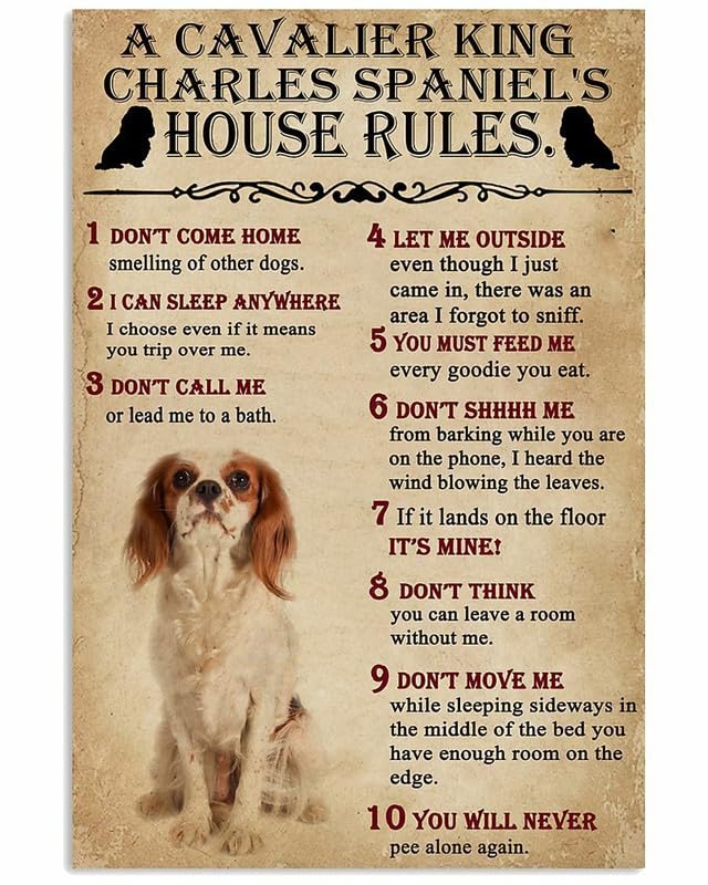 6"x8" A Cavalier King Charles Spaniel's House Rules, Art Prints Poster Home Decor Metal Sign Tin Sign Wall Art for Men Home Bathroom