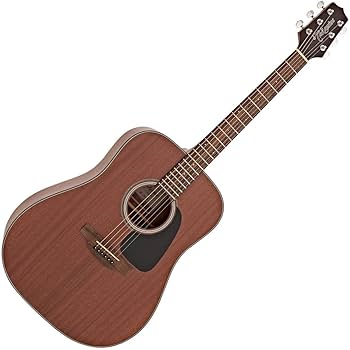 Amazon.com: Takamine GD11M Acoustic Guitar : Musical Instruments