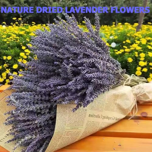 6 Packs Natural Dried Lavender Flowers Bouquet with Stems (14-17 Inches, 540-600 Stems Total) - Home Fragrance for Drawers, Wedding Decor & Photography Props, DIY Crafts Supplies & ,Gifts for Her