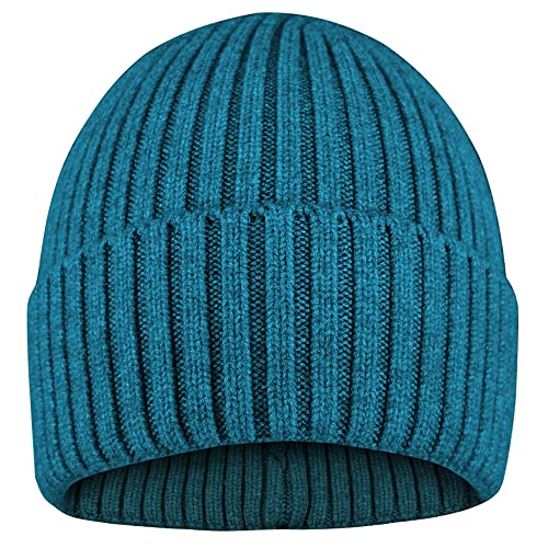 FRSOHEWIN Gorros Slouch Beanie Suave Elástico Cráneo Invierno Sombreros Gorros de Punto para Hombre Mujer Unisex Adulto Deportivo Ski Azul Cover