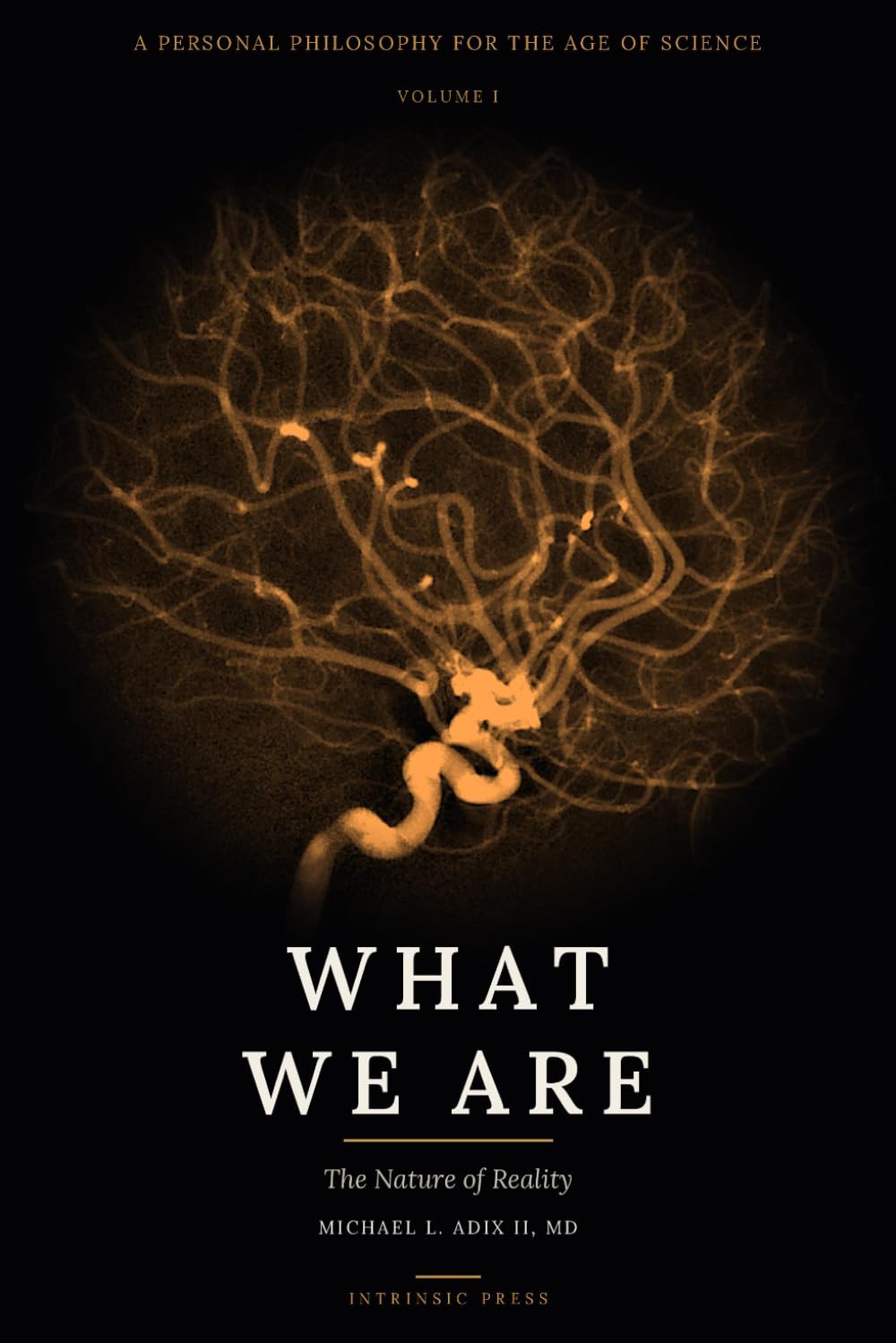 What We Are: Volume I: The Nature of Reality