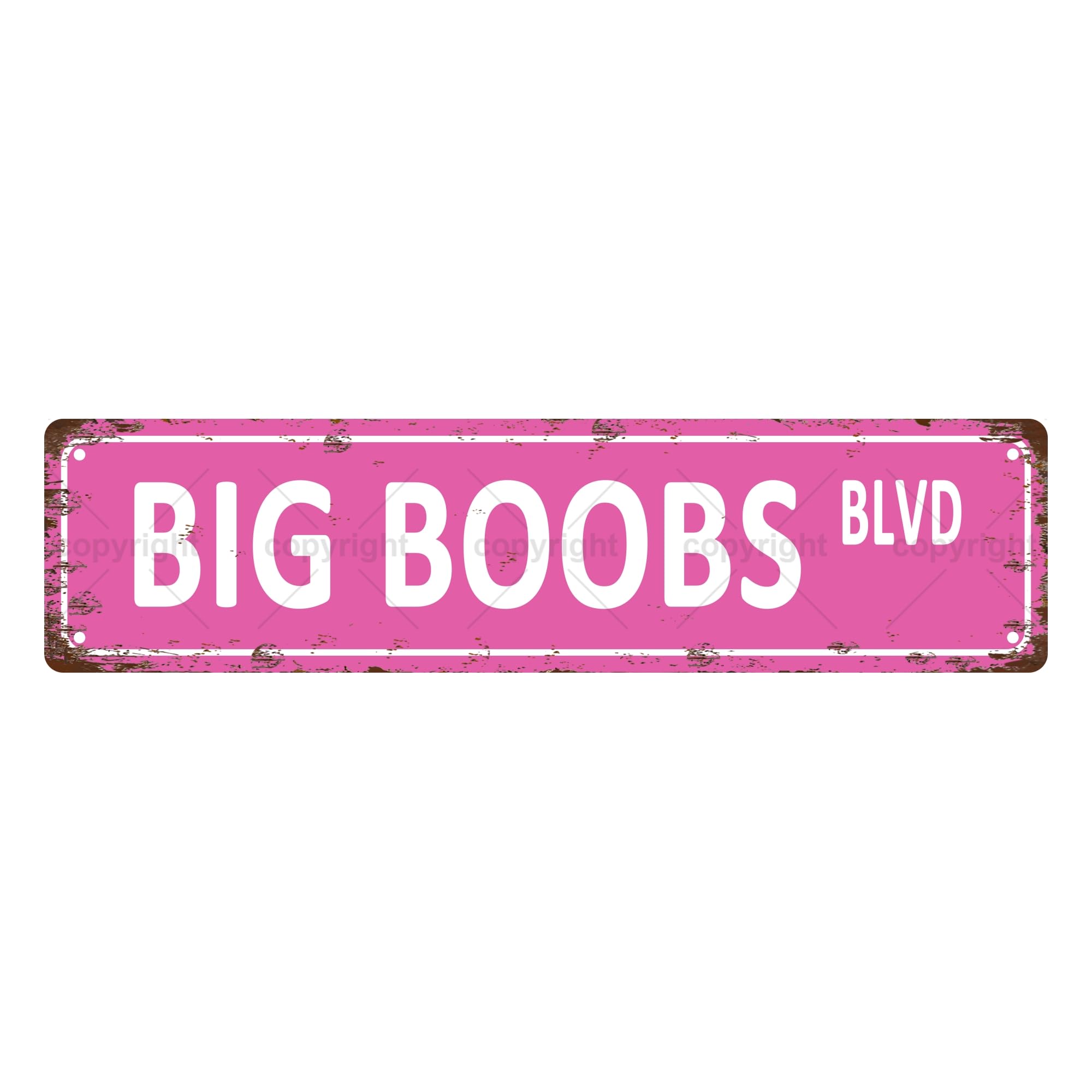 Big Boobs BLVD Sexual Metal Tin Street Sign Bar Cafe Garage Cave Home Room Wall Bathroom Farmhouse Garden Porch Patio Decor,4x16 Inch