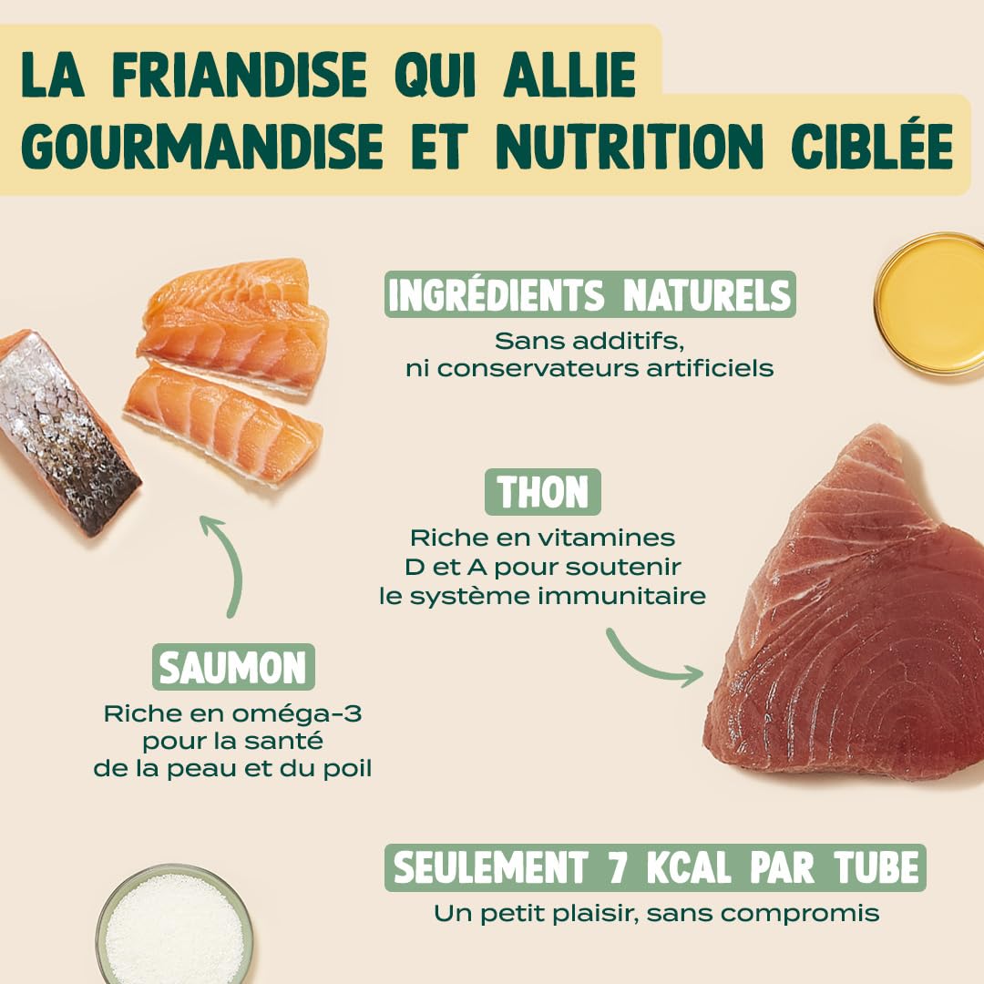 FRANKLIN – Tube Crémeux Chat – Creamy Snack Thon et Saumon – Texture Crémeuse et Onctueuse – Ingrédients 100% Naturelles – Faible en Calories – Poils Doux et Brillant – 30 Tubes x 15g