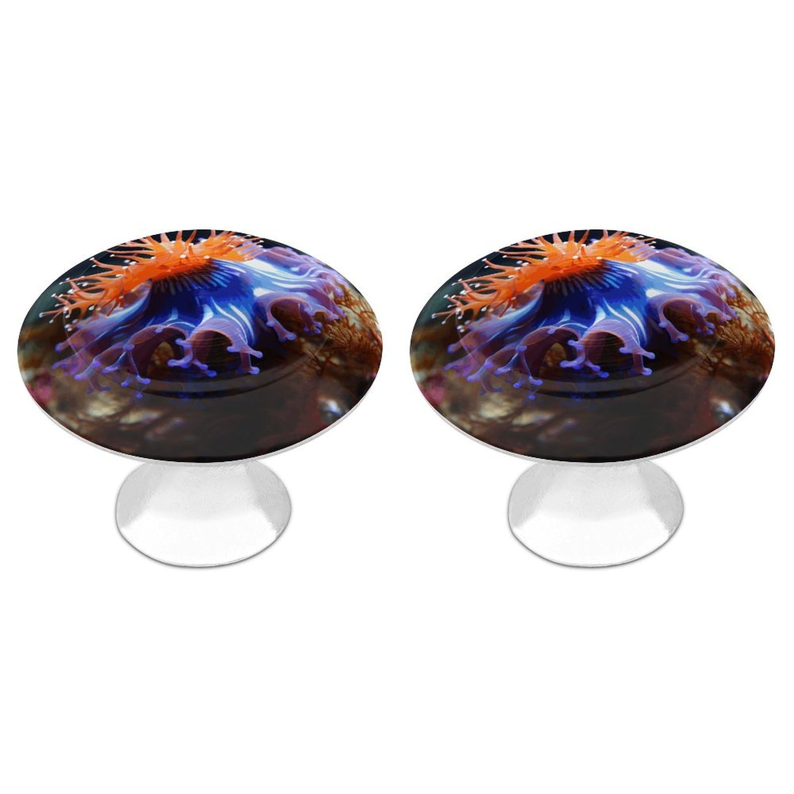 Vstadank Style Nudibranch Drawer Knob Round Dresser Sturdy Drawer Pulls With Mounting Screws Kitchen Stainless Steel Modern Decorative Handles For Cupboard Closet Bathroom