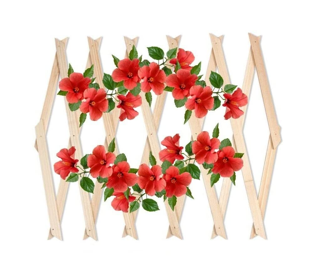Expanding 6ft Wooden Trellis Climbing Plants Fence Panel Screening Lattice UK (Natural 180 x 90cm)