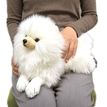 ポメころび様♡14kgf ?media_id=3548102966836630155